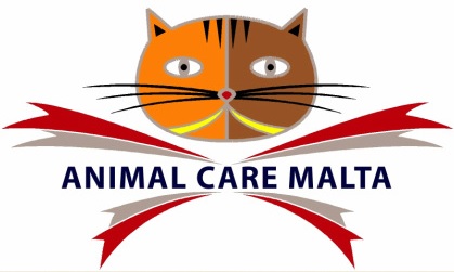 Op bezoek bij Animal Care Kattenopvang Malta