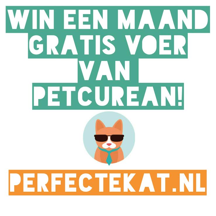 Petcurean petfood nieuw in Nederland – WIN EEN MAAND GRATIS VOER!