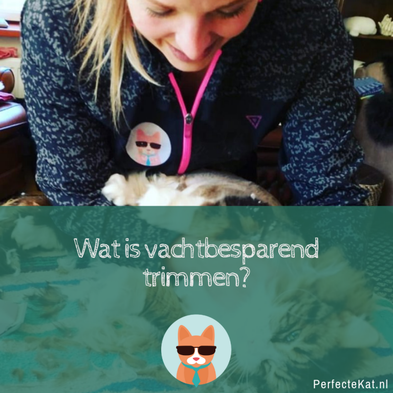 Wat is vachtbesparend trimmen? – PerfecteKat.nl