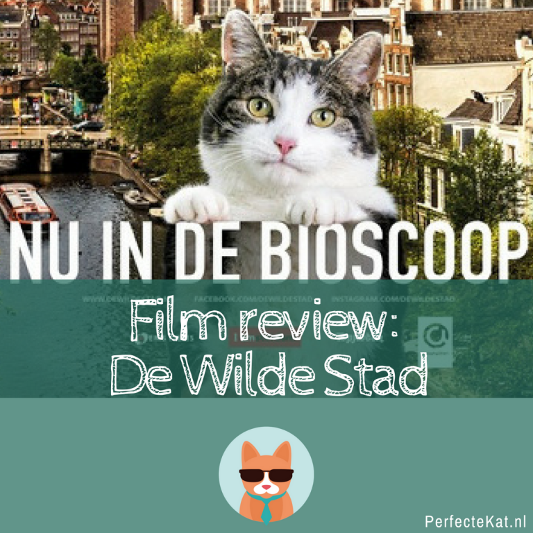 Film review – De Wilde Stad, Amsterdam zoals je het nog nooit hebt gezien!