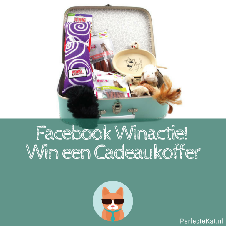 Winactie: Cadeaukoffer voor jouw kat! – 500+ likes op Facebook!