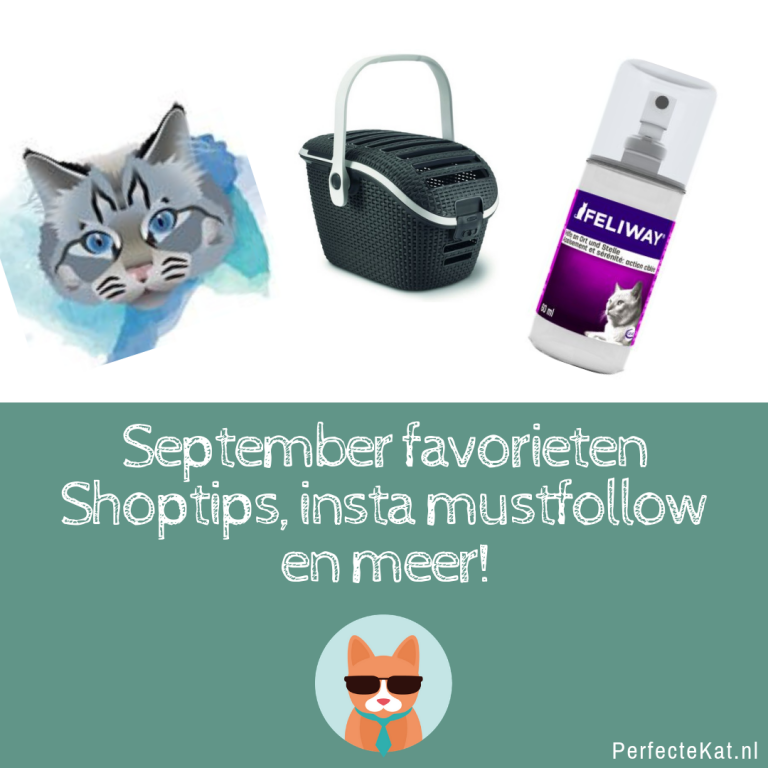 Mijn favorieten van de maand september – Shoptips, mustfollows en meer!