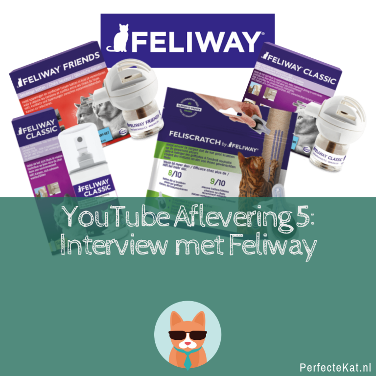 Youtube aflevering 5: Interview met Tineke van Feliway