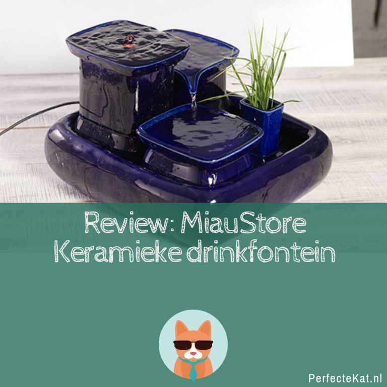 Review: Miaustore keramische drinkfontein