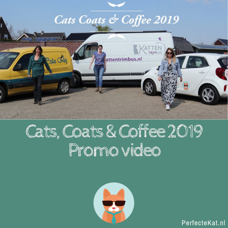 Cats, Coats & Coffee 2019 – Kattentrimsters event