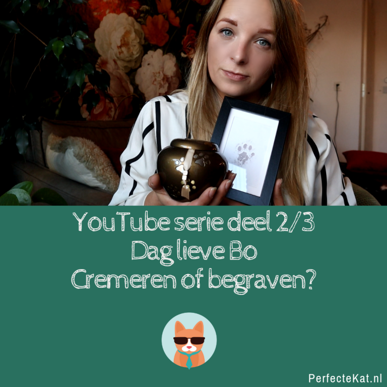 Dag lieve Bo – YouTube serie – Deel 2 van 3