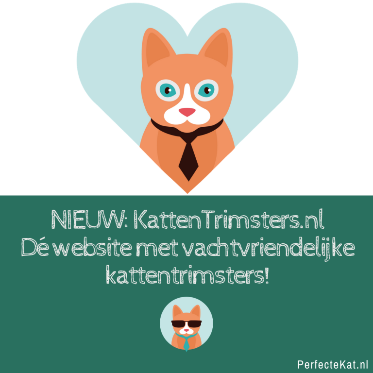 Kattentrimsters.nl – Een verzamelwebsite voor vachtvriendelijk kattentrimsters