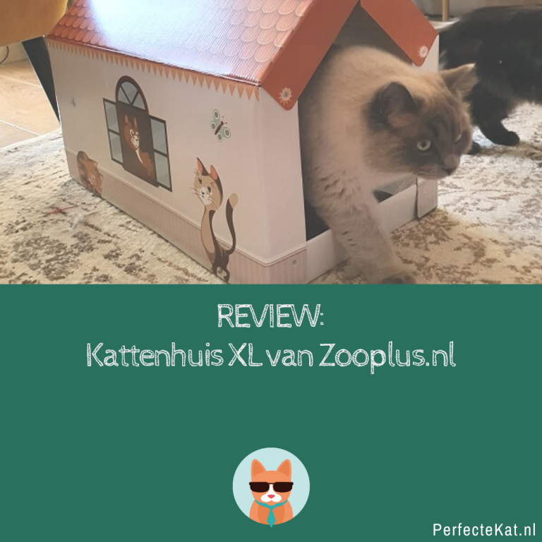 Review: Kartonnen Kattenhuis Zooplus.nl GOEDKOOP!