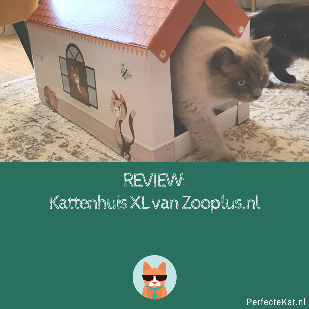 overtuigen Wissen Zijdelings Review Kartonnen kattenhuis Zooplus - PerfecteKat.nl