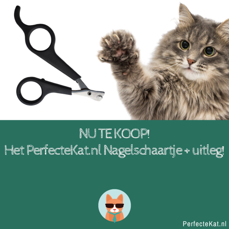 NU TE KOOP! Het PerfecteKat.nl nagelschaartje + uitleg