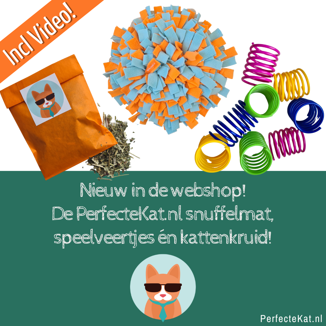 Vesting Touhou Verwisselbaar NIEUIW! De PerfecteKat.nl Snuffelmat + nog meer nieuwe producten!