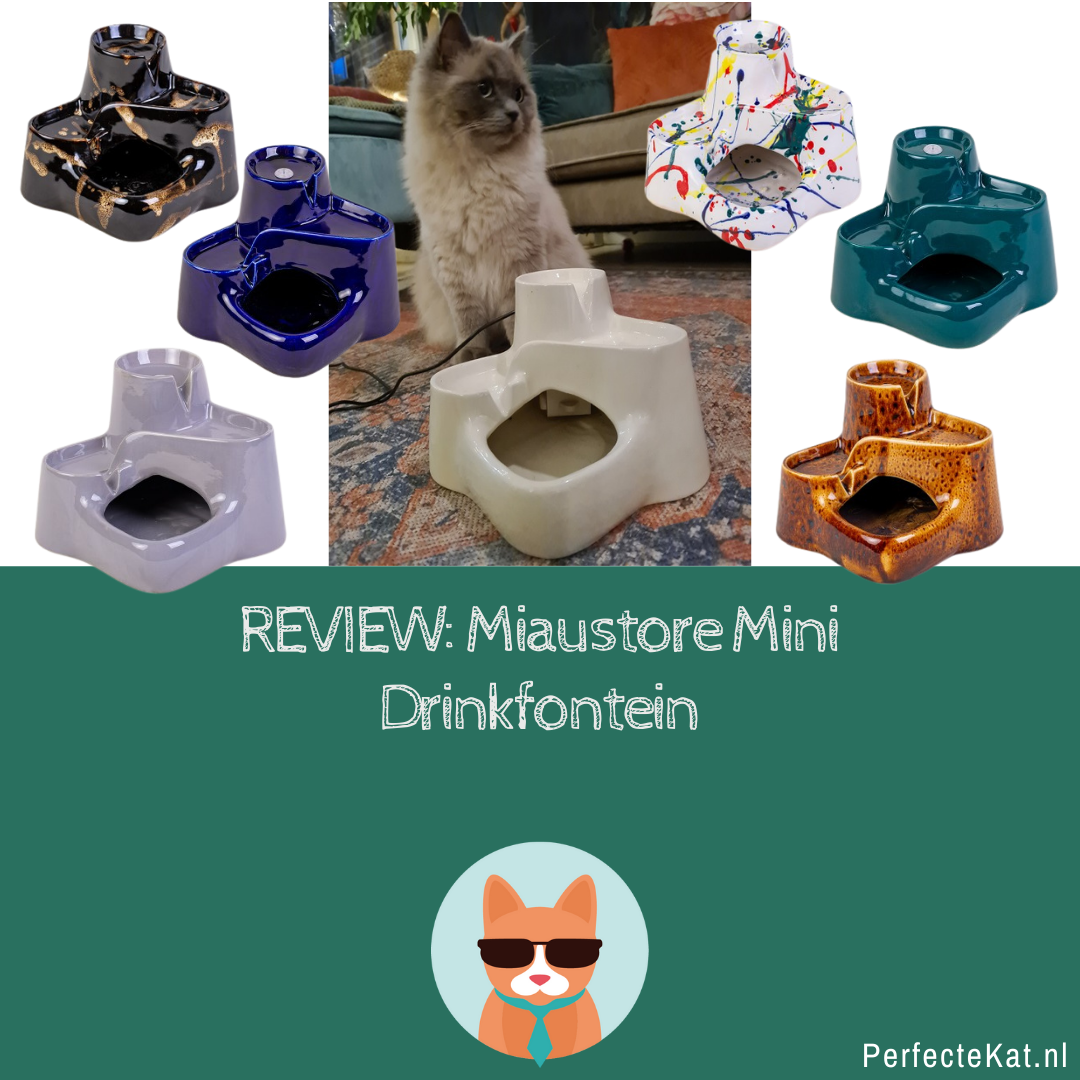 knop Verstenen Politie NIEUW! Miaustore mini fontein review - PerfecteKat.nl