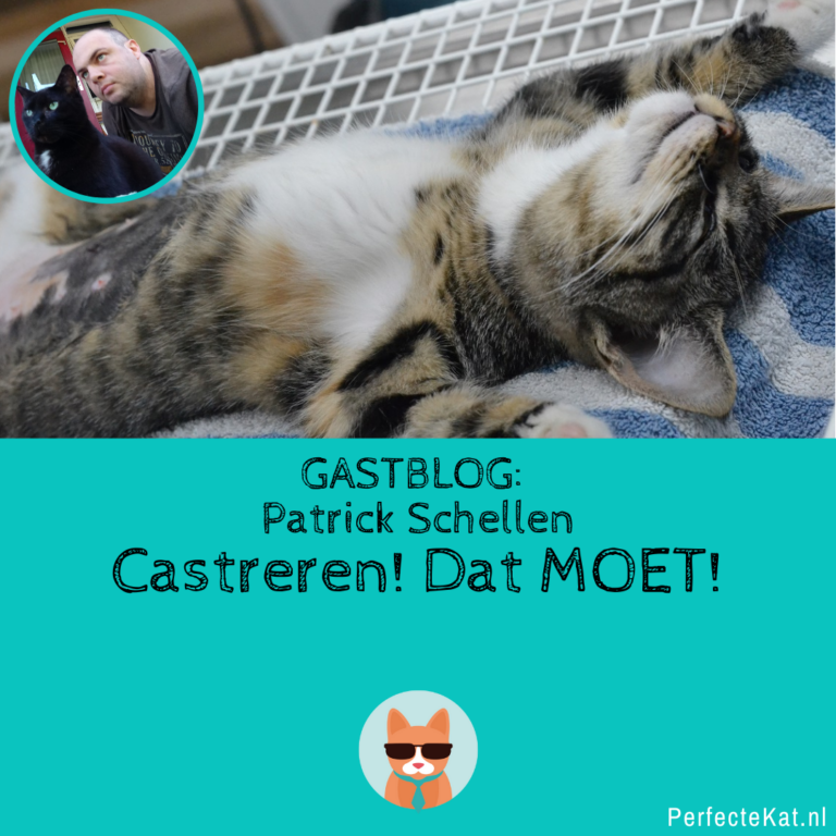 Gastblog Patrick: Noodkreet! Castratie van katers in Nederland!