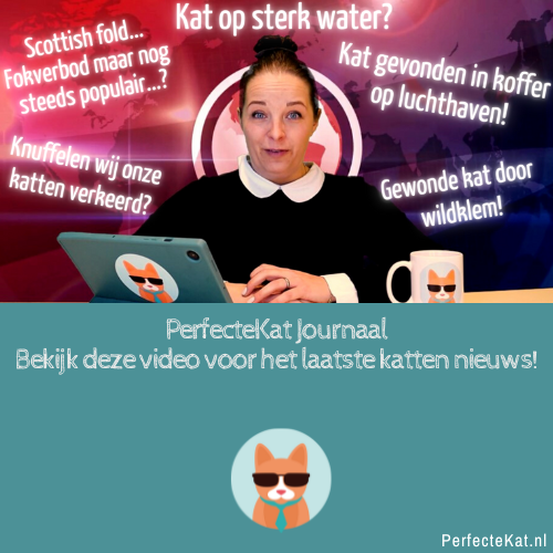 PerfecteKat Journaal November 2022