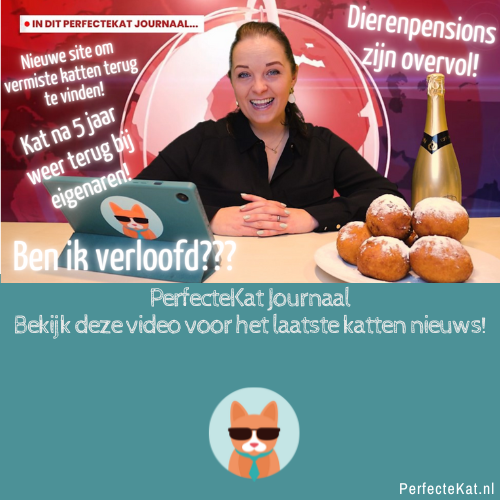 PerfecteKat.nl Journaal december 2022