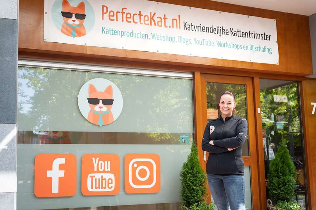 Kattentrimopleiding