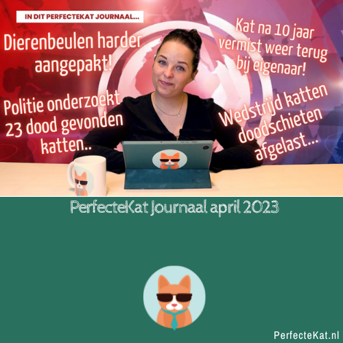 PerfecteKat Journaal April 2023