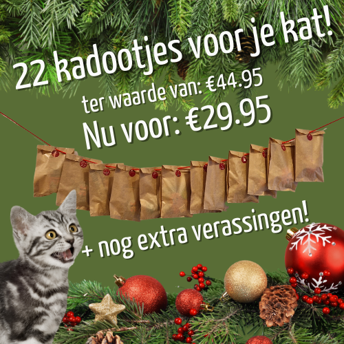 Advent kalender Slinger voor je kat!
