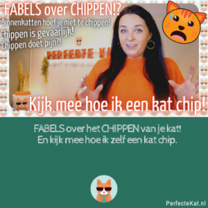 Kat chippen