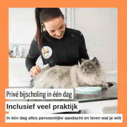 Privé bijscholing vachtbesparend trimmers