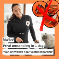 Privé omscholing "Van Ontwollen naar Vachtbesparend"