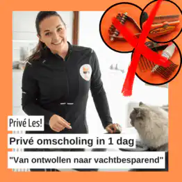 Privé omscholing "Van Ontwollen naar Vachtbesparend"
