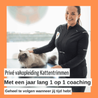 Privé Vakopleiding Kattentrimmen