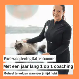 Privé Vakopleiding Kattentrimmen