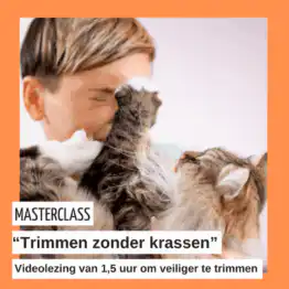 Masterclass "Trimmen zonder krassen" videolezing
