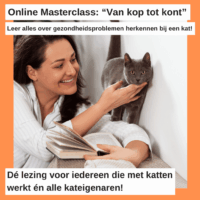 Online Masterclass: "Van kop tot kont". Leer hoe je gezondheidsproblemen herkent bij de kat!