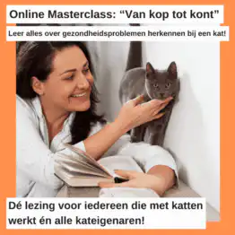 Online Masterclass: "Van kop tot kont". Leer hoe je gezondheidsproblemen herkent bij de kat!