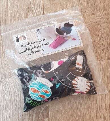 20180623_132600-e1530135245105