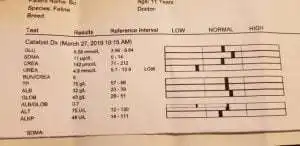 Seniorencheck