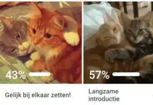 introductie
