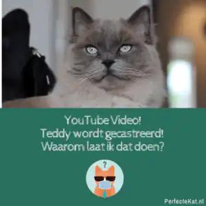 castratie