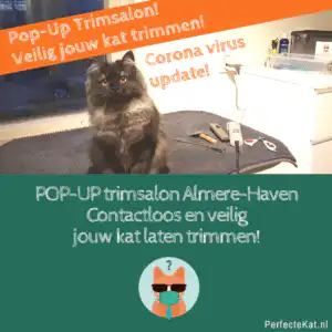 pop-up