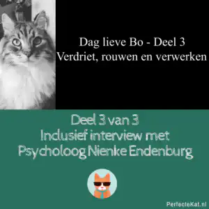 Deel 3
