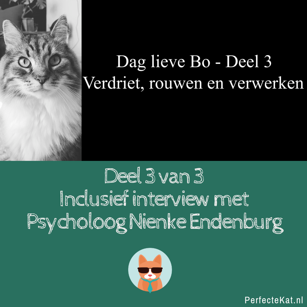 Deel-3