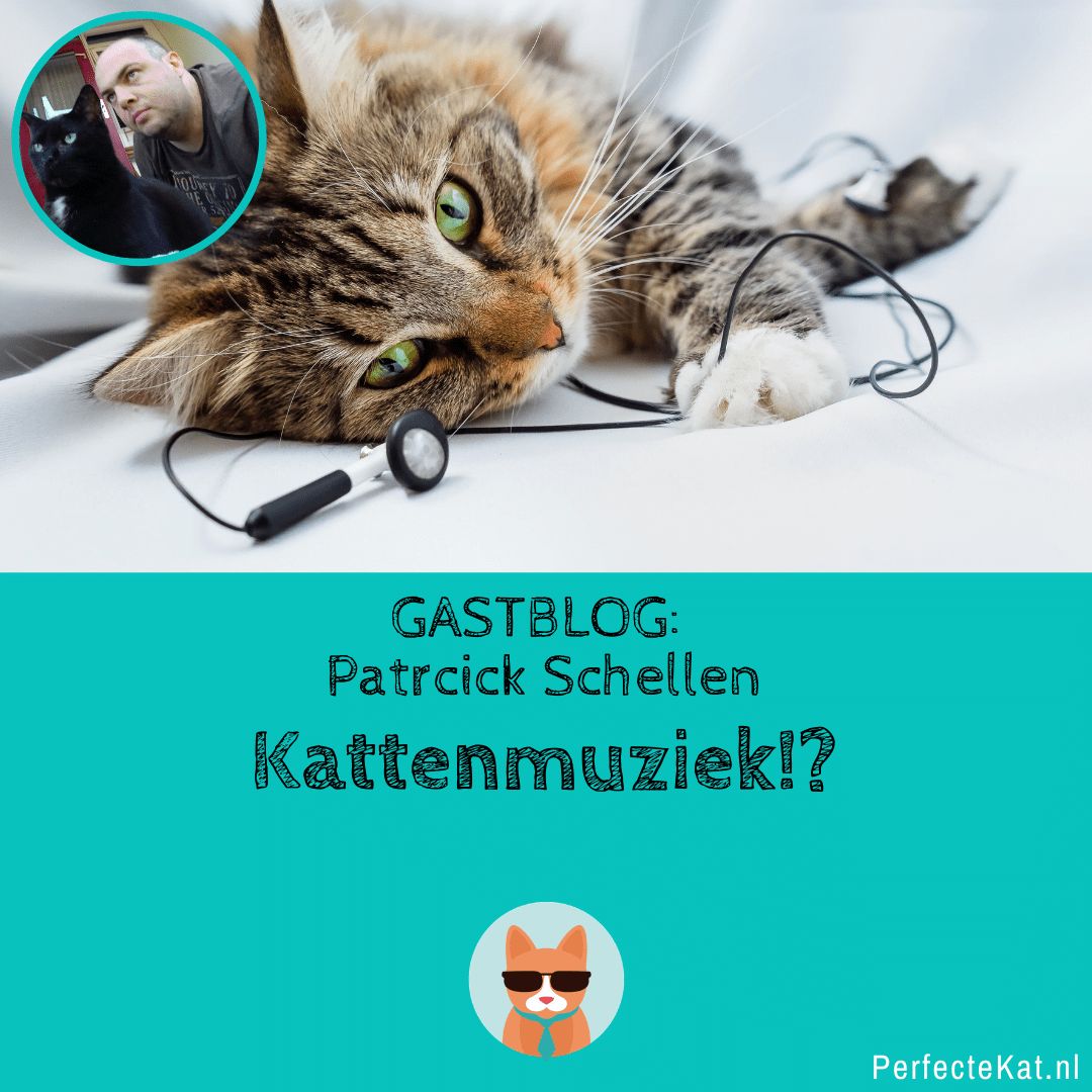 Kopie-van-jose-kat-er-bij