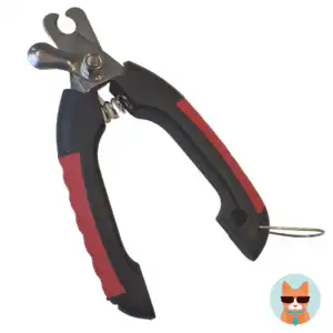 Nagelschaar