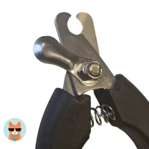 nagelschaar