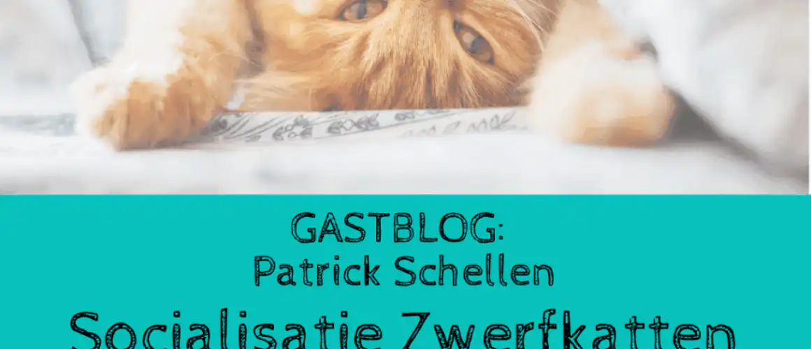Patrick