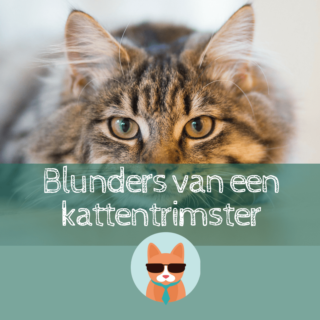 Review_-Exploding-Kittens-1