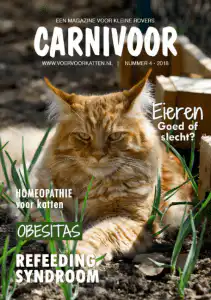 Carnivoor