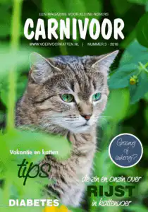 Carnivoor