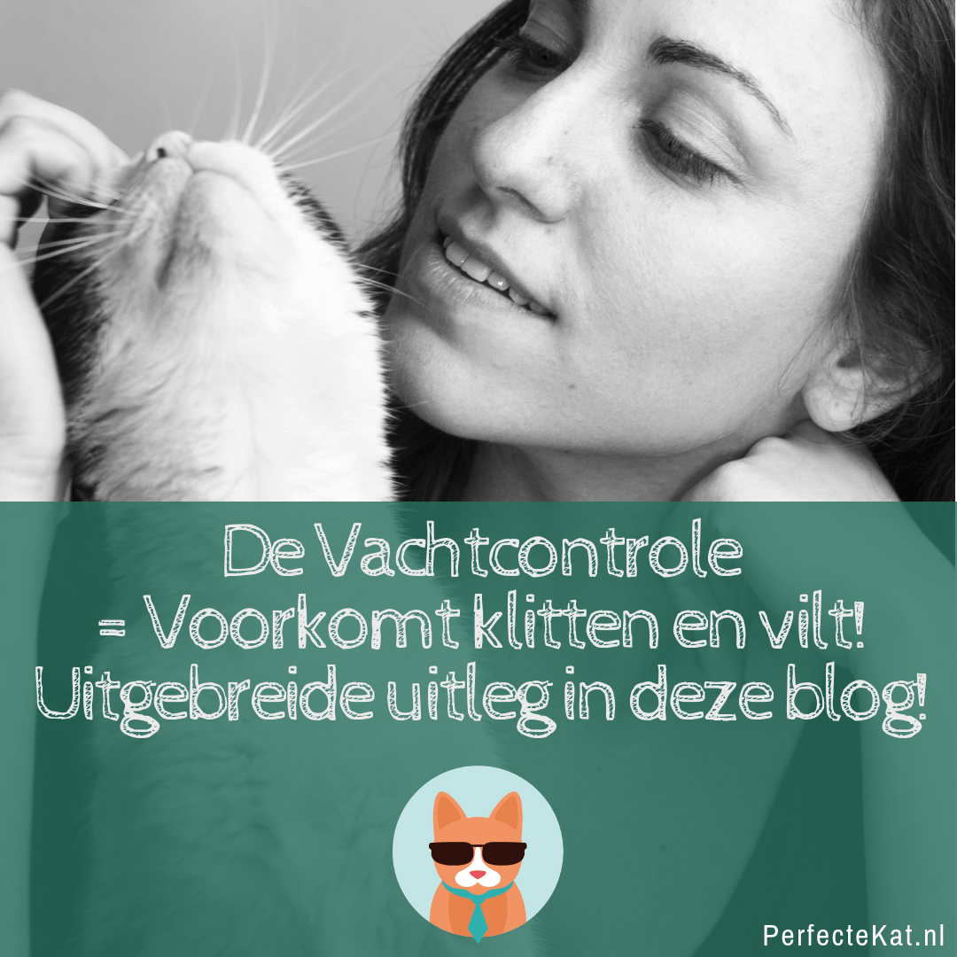 Vachtcontrole