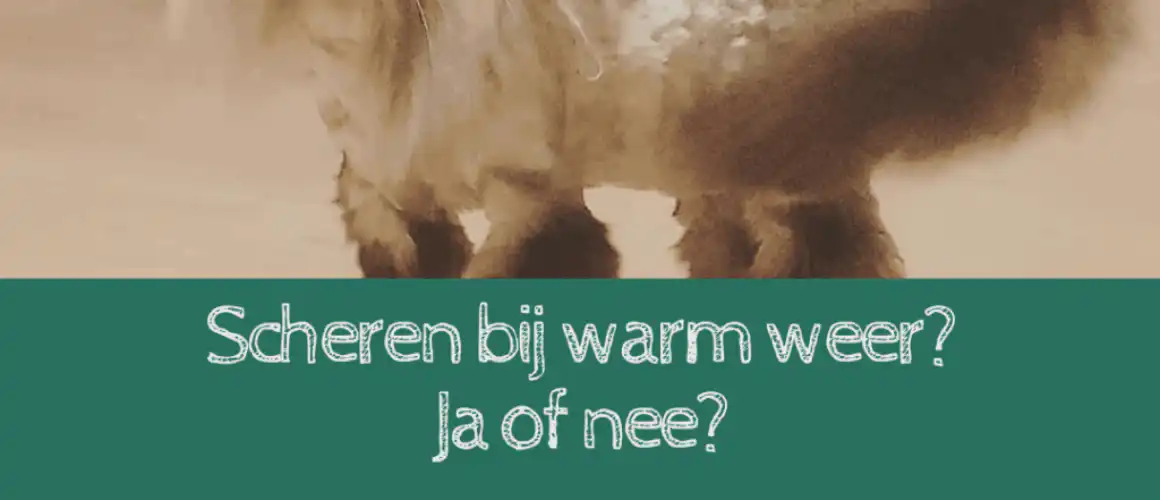 Warmj-weer