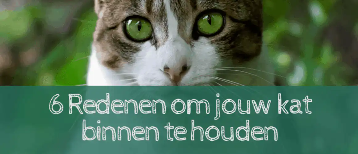 binnen