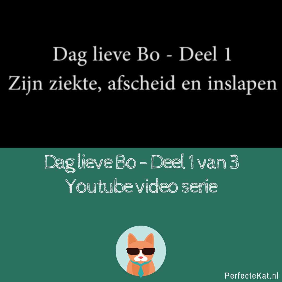 bo-deel-1