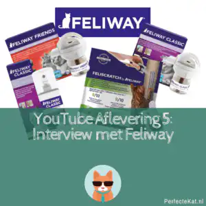 Feliway interview